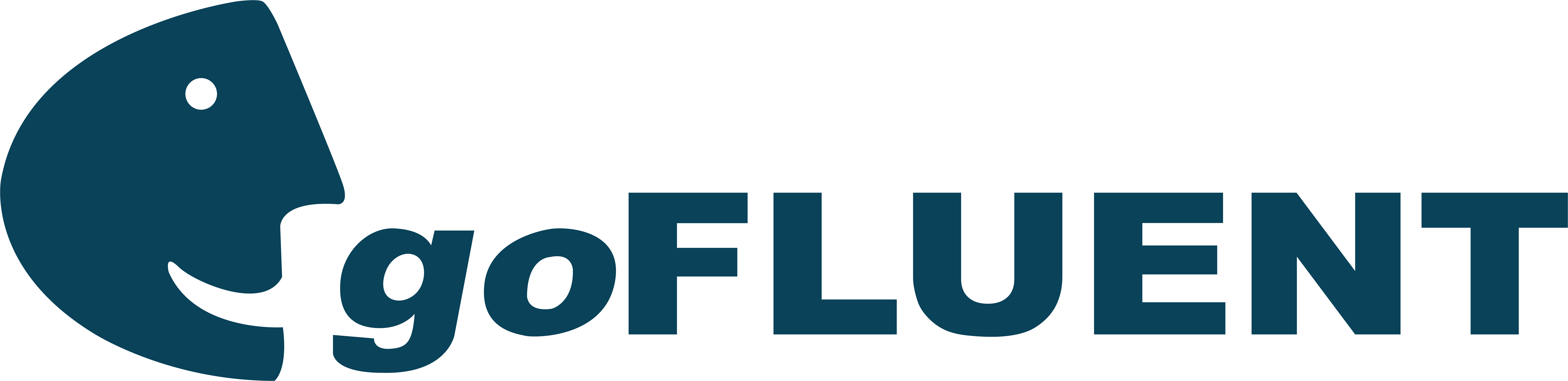 Past Sponsor